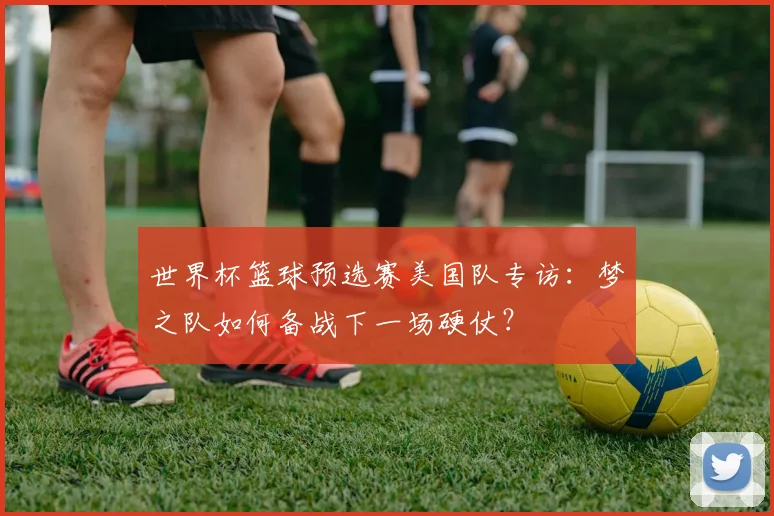 世界杯篮球预选赛美国队专访：梦之队如何备战下一场硬仗？
