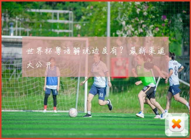 世界杯粤语解说边度有?最新渠道大公开