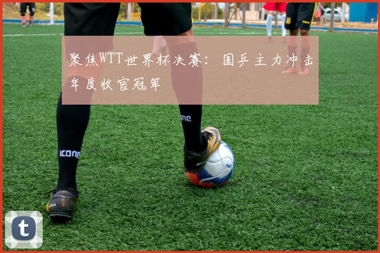 聚焦WTT世界杯决赛：国乒主力冲击年度收官冠军
